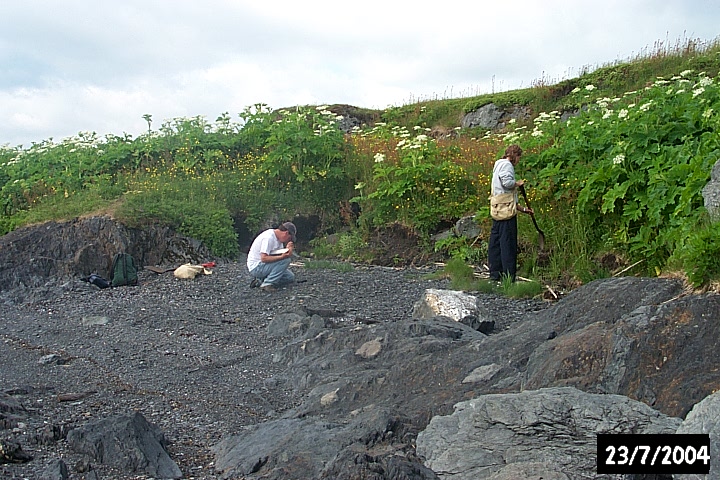 Looking for artifacts eroding from the vegetation edge.